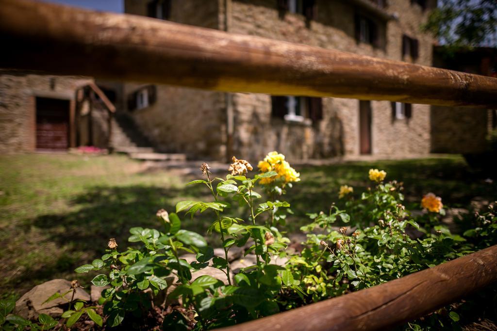 Borgo Al Teto La Vite Apartment Castiglion Fiorentino Exterior photo